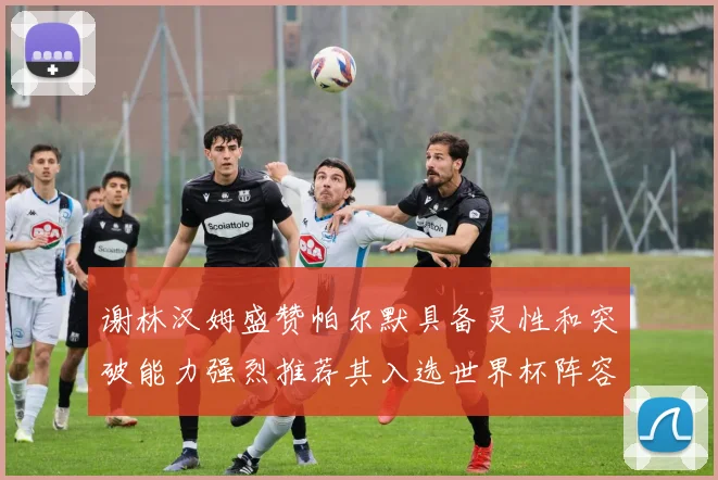 谢林汉姆盛赞帕尔默具备灵性和突破能力强烈推荐其入选世界杯阵容