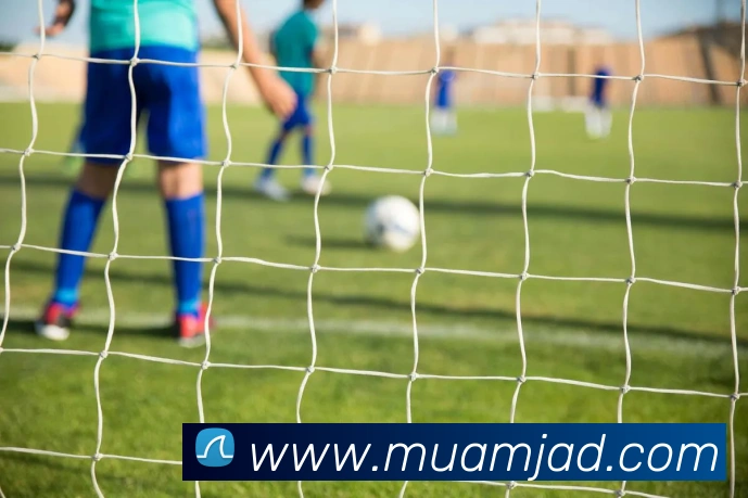 电竞数据